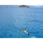 Jessica Yandle's photo