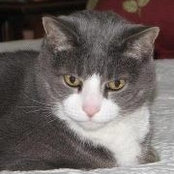 Janet Hilsmier's photo