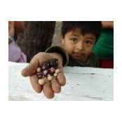 Sammy Jackson's photo