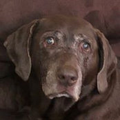Kim Orth's photo