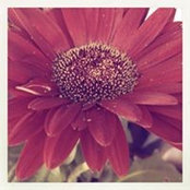 AE B's photo