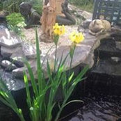 Foto von Connie Gilchrist