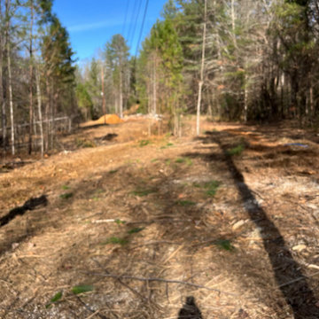 Landscaping , yard clean up trash and debris