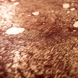 NATURAL Cowhide Area Rugs - Area Rugs
