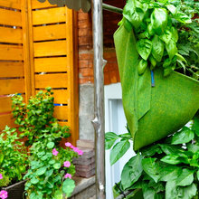 Patio Ideas