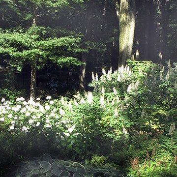 NY LG Woodland Garden Glory