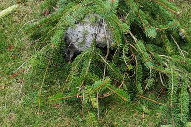 Photo of a traditional landscaping in Toronto.