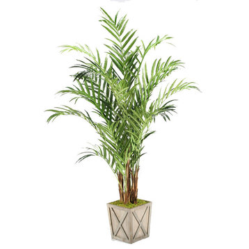 8' Kentia Palm in Weathered Wooden Box Planter