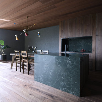 Case Study Kitchens #41