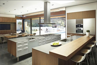 Kitchen - mid-century modern kitchen idea in Los Angeles