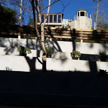 Backyard Landscapes