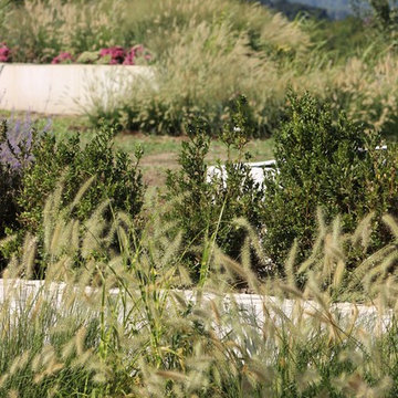 Modern garden - industrial elements - naturalistic planting