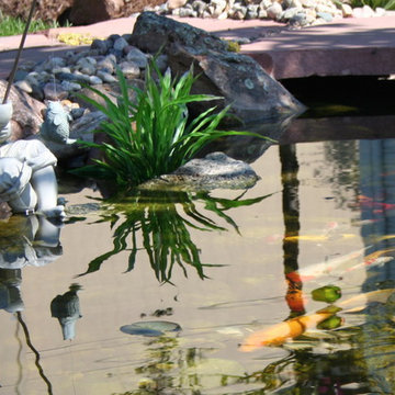 Koi Ponds and Water Gardens