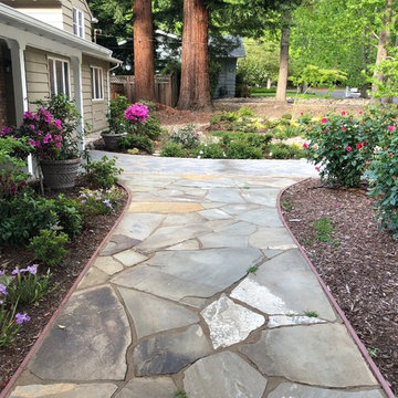 Front Yard Slow and Patient Remodel