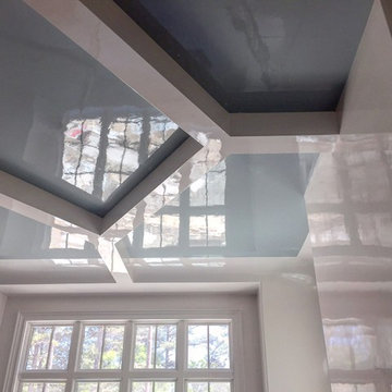 Fine Paints of Europe High Gloss Lacquer