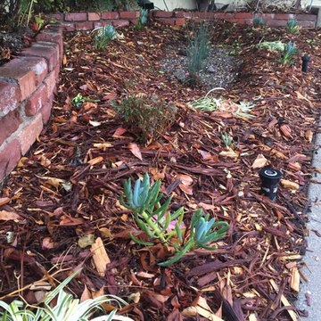 Remove Grass Patch #1