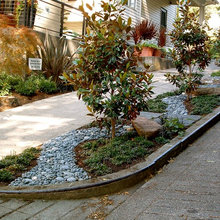 front yard