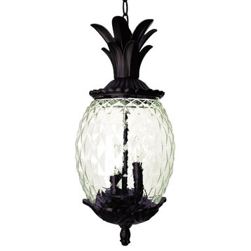 Acclaim Lanai 3-Light Outdoor Hanging Lantern 7516BC - Black Coral