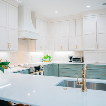 Chapin Home Remodel
