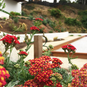 Del Mar Natural Modern Landscape
