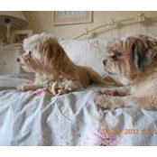 Suzi Costanza's photo