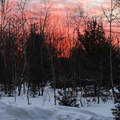 Melissa Barley's photo