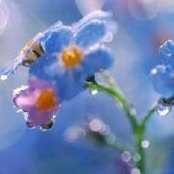Jane Reed's photo