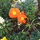 webuser_320640879