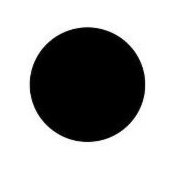 Markus Olesen's photo