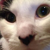 Elizabeth Asher's photo