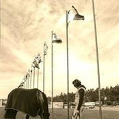 Sandra Lennon's photo