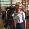 Connie Elaine's Draperies's profile photo