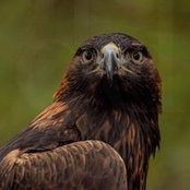Dawn Dawson's photo