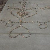 Annie Osbourn's photo