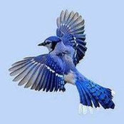 Joseph Ottenbrite's photo