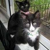 Beverly Hruska's photo