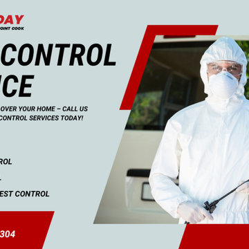 Reliable Pest Solutions for Point Cook Homes