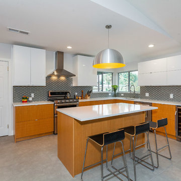 Modern Ikea kitchen - Woodland Hills