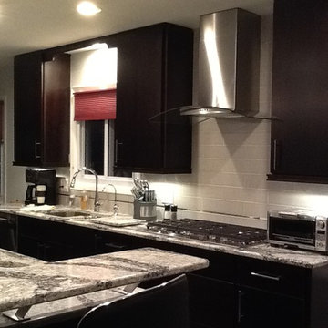 Contemporary Kitchen Remodel