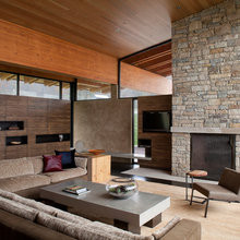 Mid Century Modern Fireplace