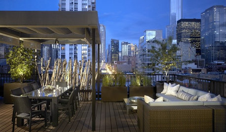 Houzz Tour: A Chicago Loft Conversion Raises the Roof