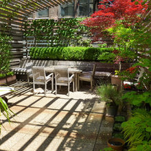 Patio Ideas