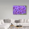 Cora Niele 'Lilac Flower' Canvas Art, 19"x12"