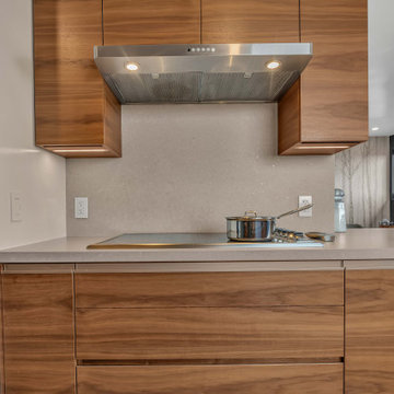 BELVEDERE CT BURLINGAME, CA - Home Remodel