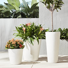 171 CD - Patio