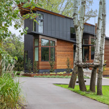 Woody Front House