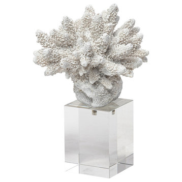 Isla, Small, 5Lx5W White Replica Resin Coral On Clear White Glass