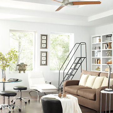 Ceiling Fans