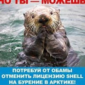 Юрий Чернышов's photo
