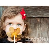 Andrea Kight's photo